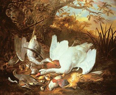 Nature morte de cygne et de gibier dans un paysage - Jan de Wit